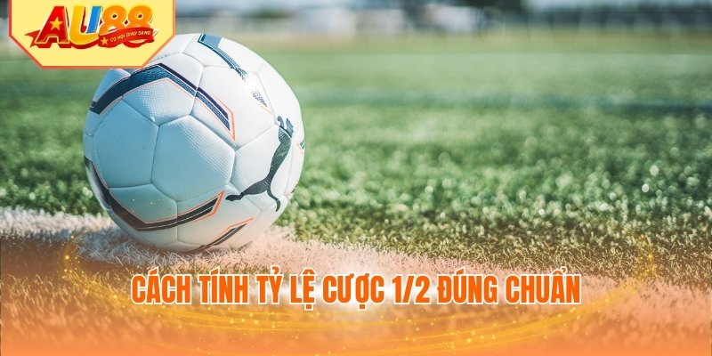 Cách tính tỷ lệ cược 1/2 đúng chuẩn