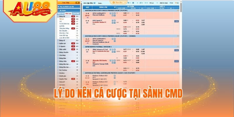 Lý do nên cá cược tại sảnh CMD