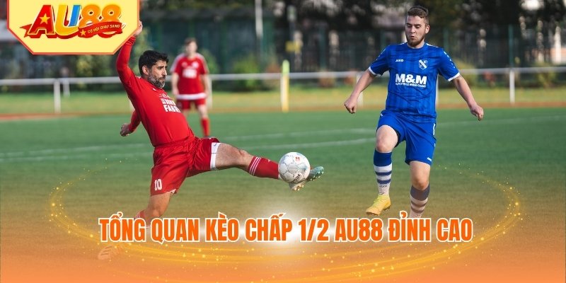 Tổng quan kèo chấp 1/2 AU88 đỉnh cao